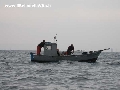 Pescatori nel Golfo di Trieste. - Clicca per ingrandire la foto...