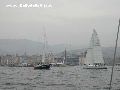 Barche a vela nel tratto di mare di fronte alle Rive (Barcolana 2004). - Clicca per ingrandire la foto...