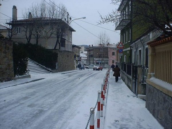 Gennaio 2003 Servola sotto la neve (Trieste) (inviata da Daniele_Ts)