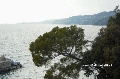 Un tratto del golfo di Trieste (inviata da Goblin) - Clicca per ingrandire la foto...