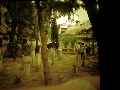 Cimitero bosniaco: le differenze immateriali (inviata da giò) - Clicca per ingrandire la foto...